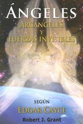 Vorderes Coverbild Angeles, Arcangeles y Fuerzas Invisibles