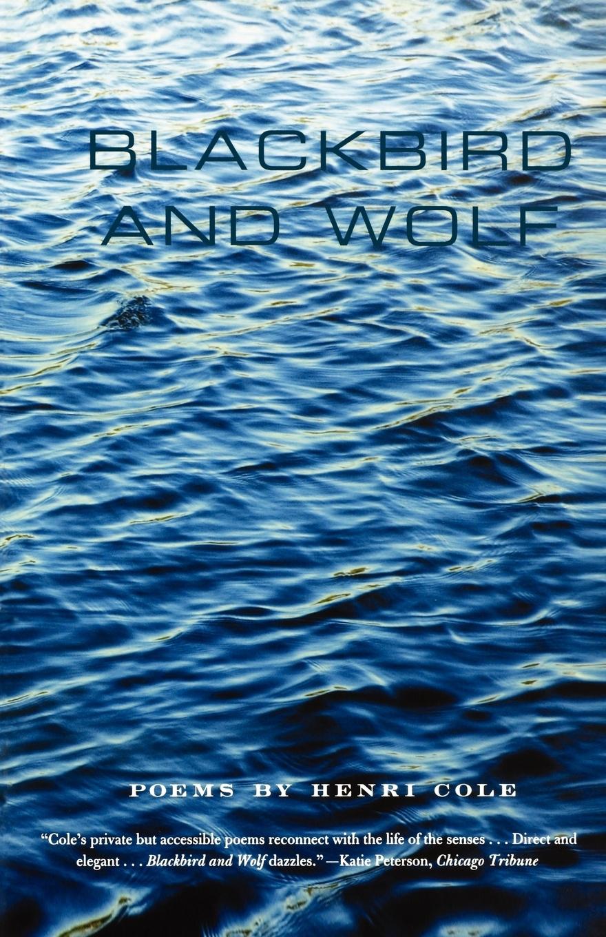 Vorderes Coverbild Blackbird and Wolf