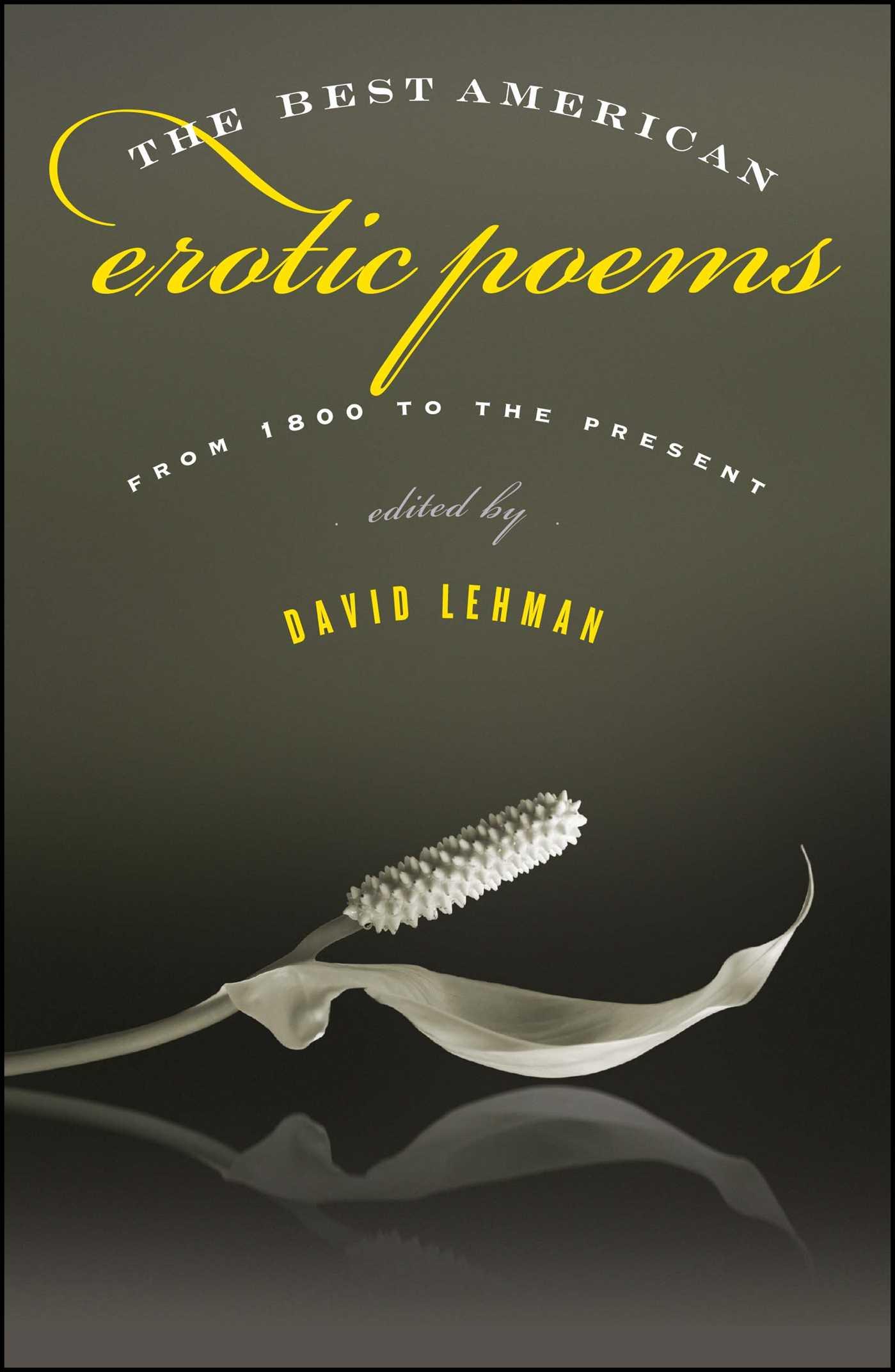 Vorderes Coverbild The Best American Erotic Poems