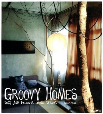 Vorderes Coverbild Groovy Homes
