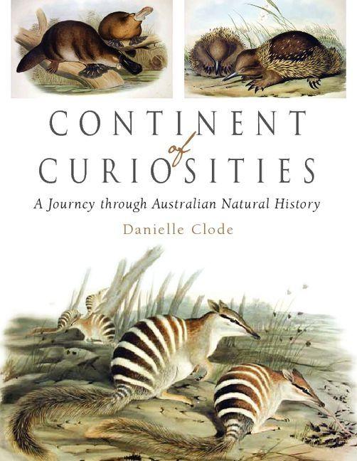 Vorderes Coverbild Continent of Curiosities