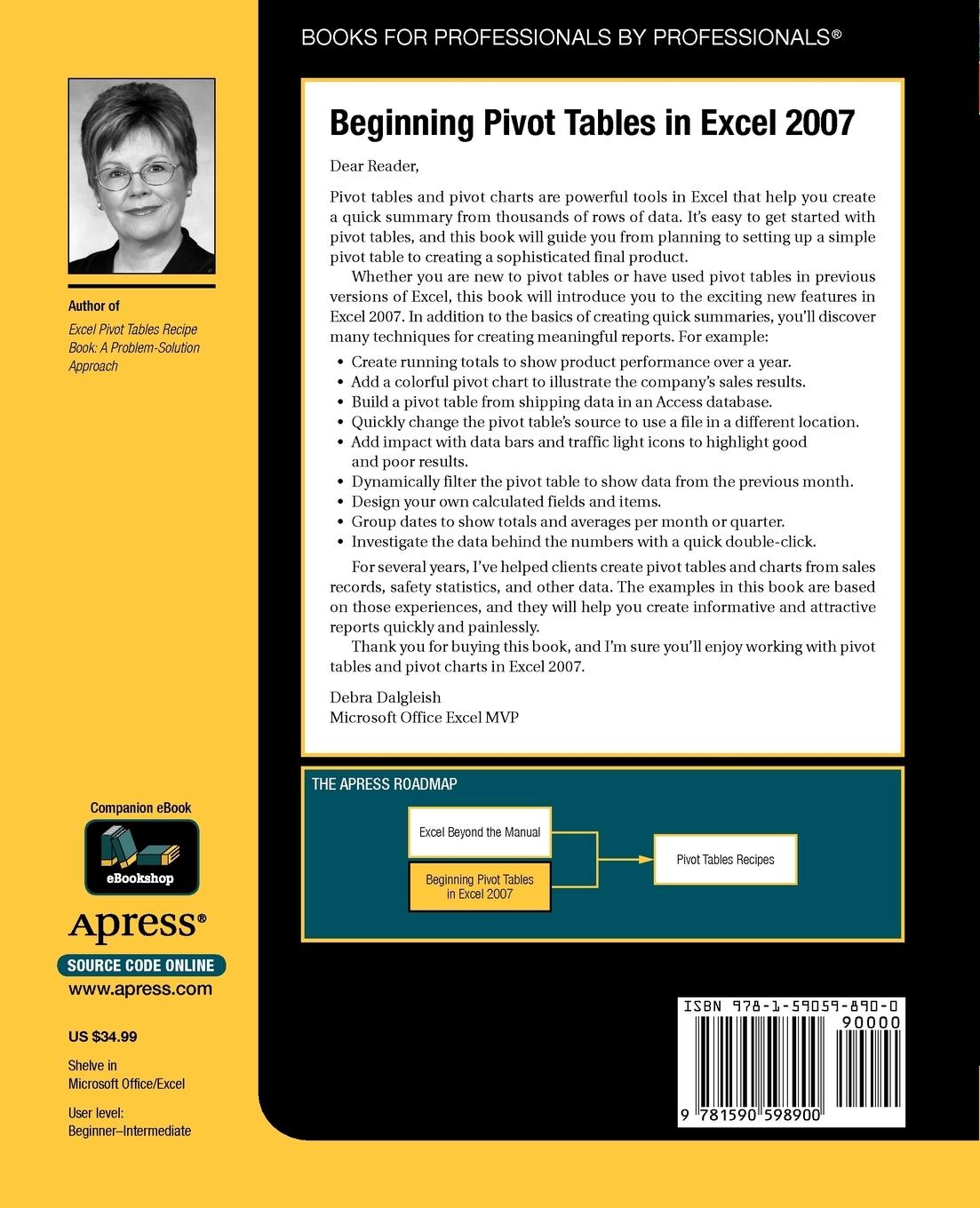 Rückseitencover Beginning Pivottables in Excel 2007