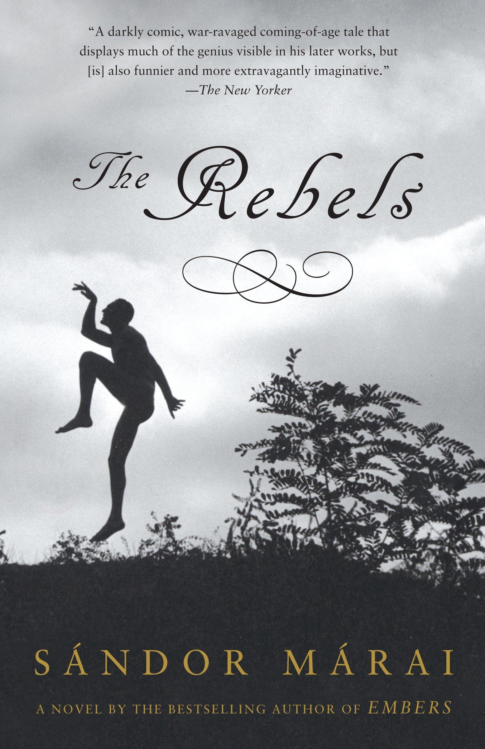 Vorderes Coverbild The Rebels