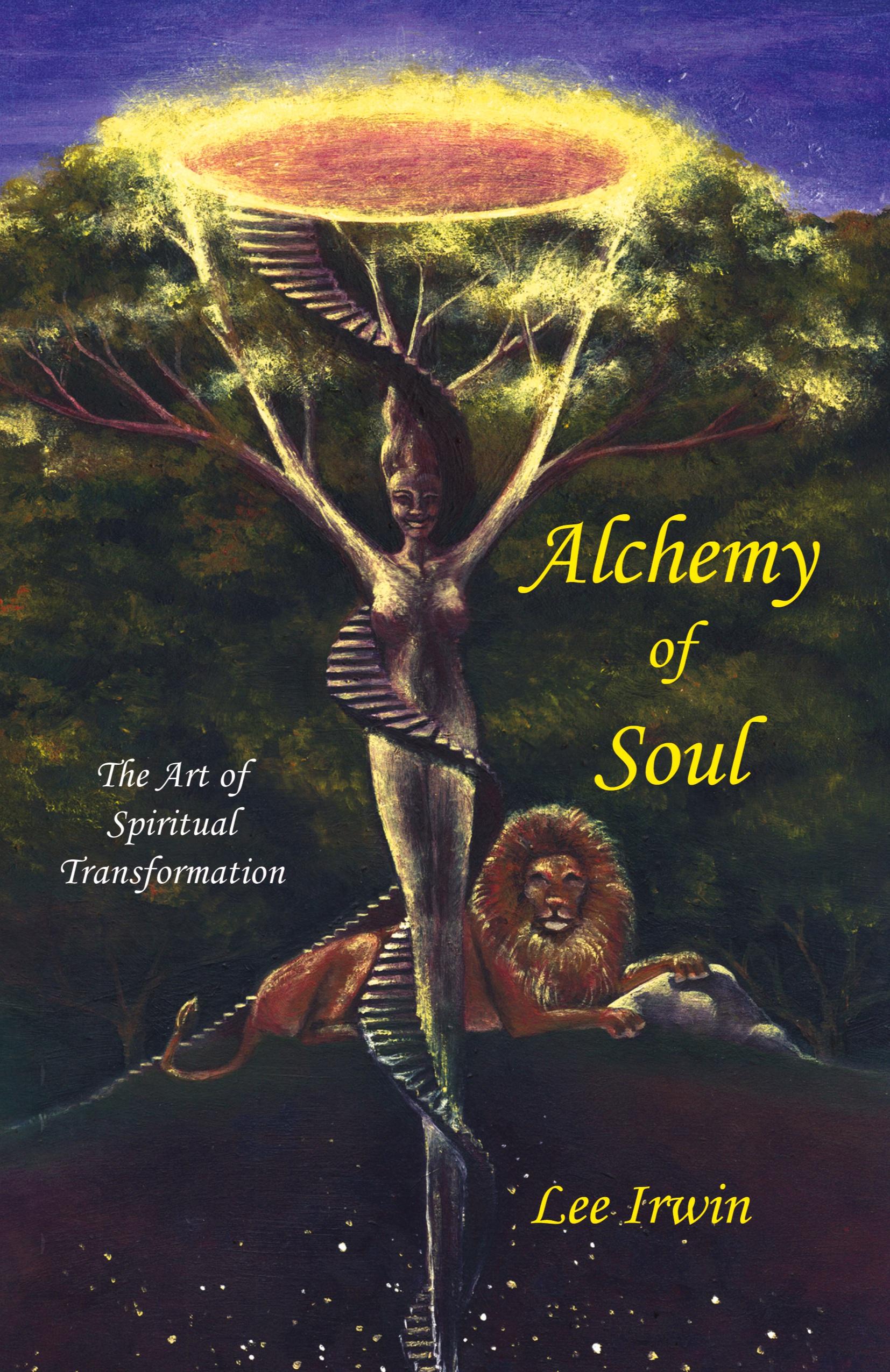 Vorderes Coverbild Alchemy of Soul