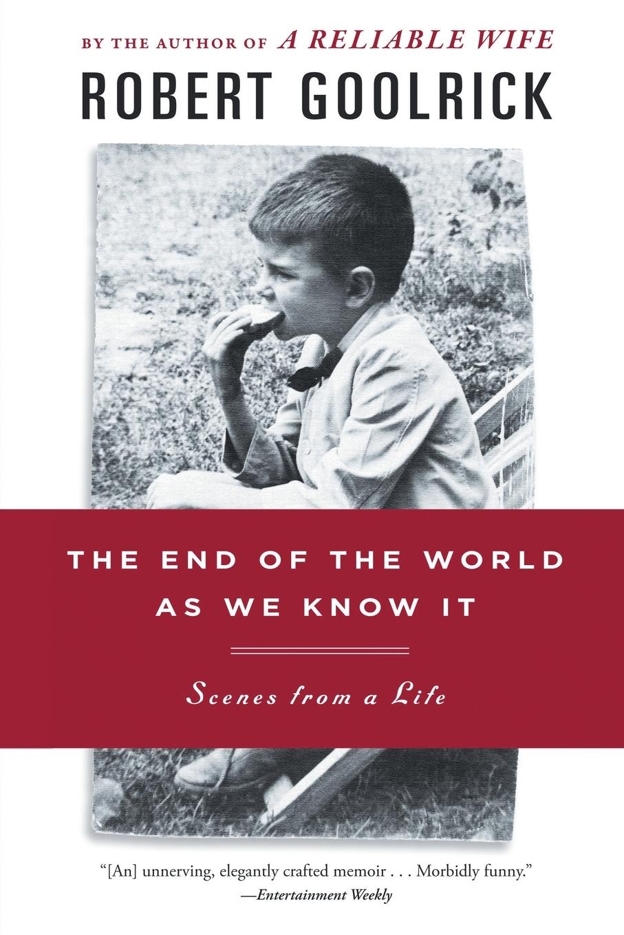 Vorderes Coverbild The End of the World as We Know It