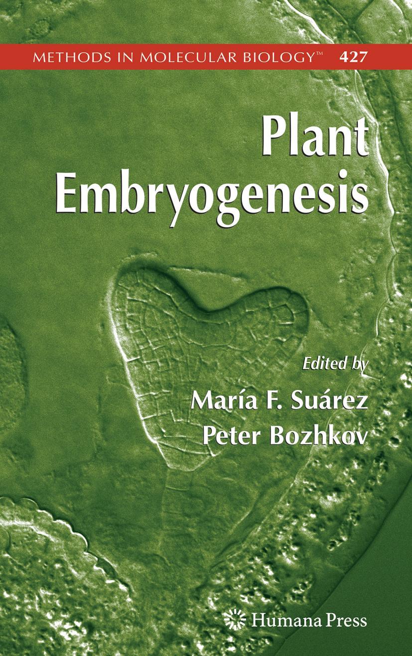 Vorderes Coverbild Plant Embryogenesis
