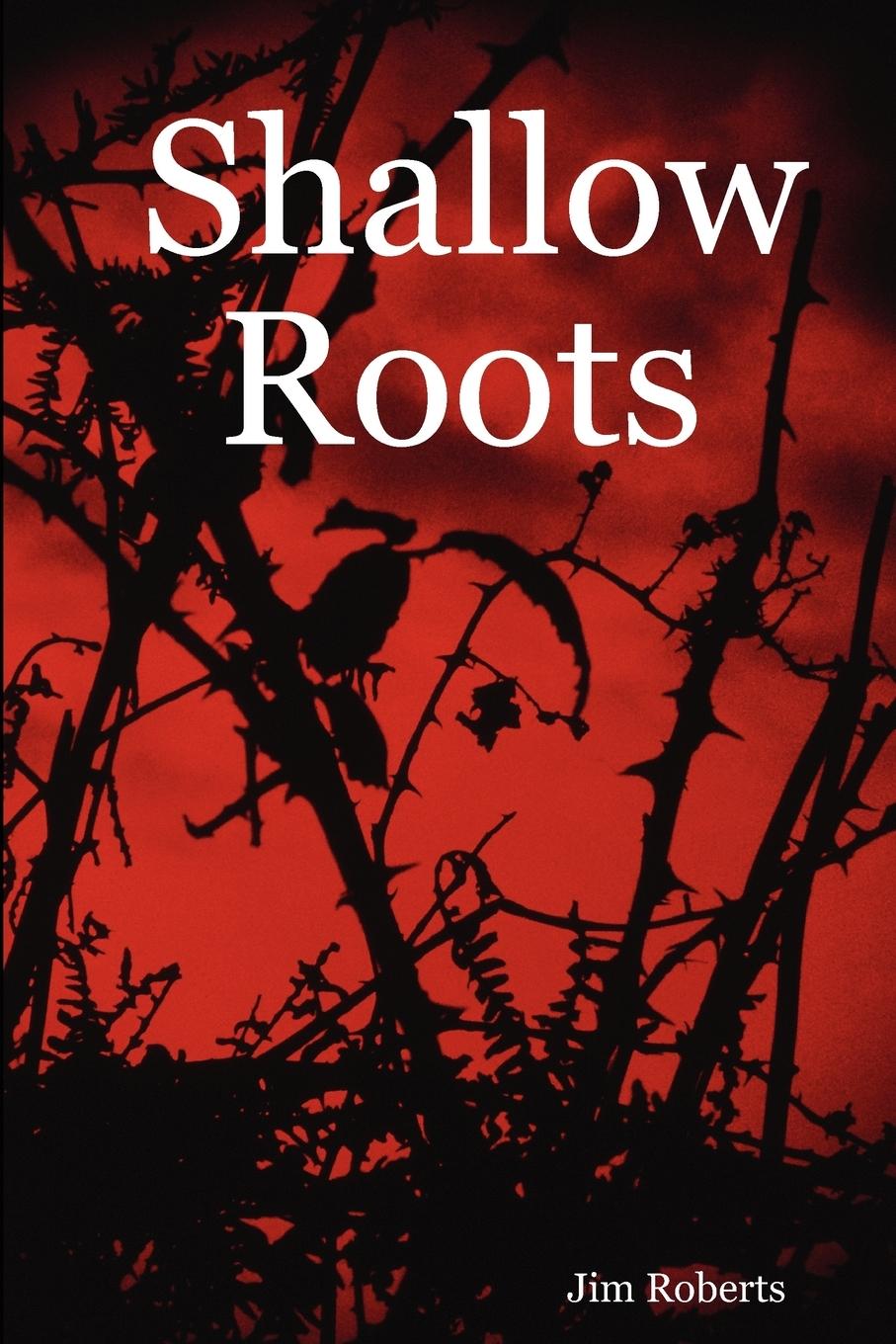 Vorderes Coverbild Shallow Roots