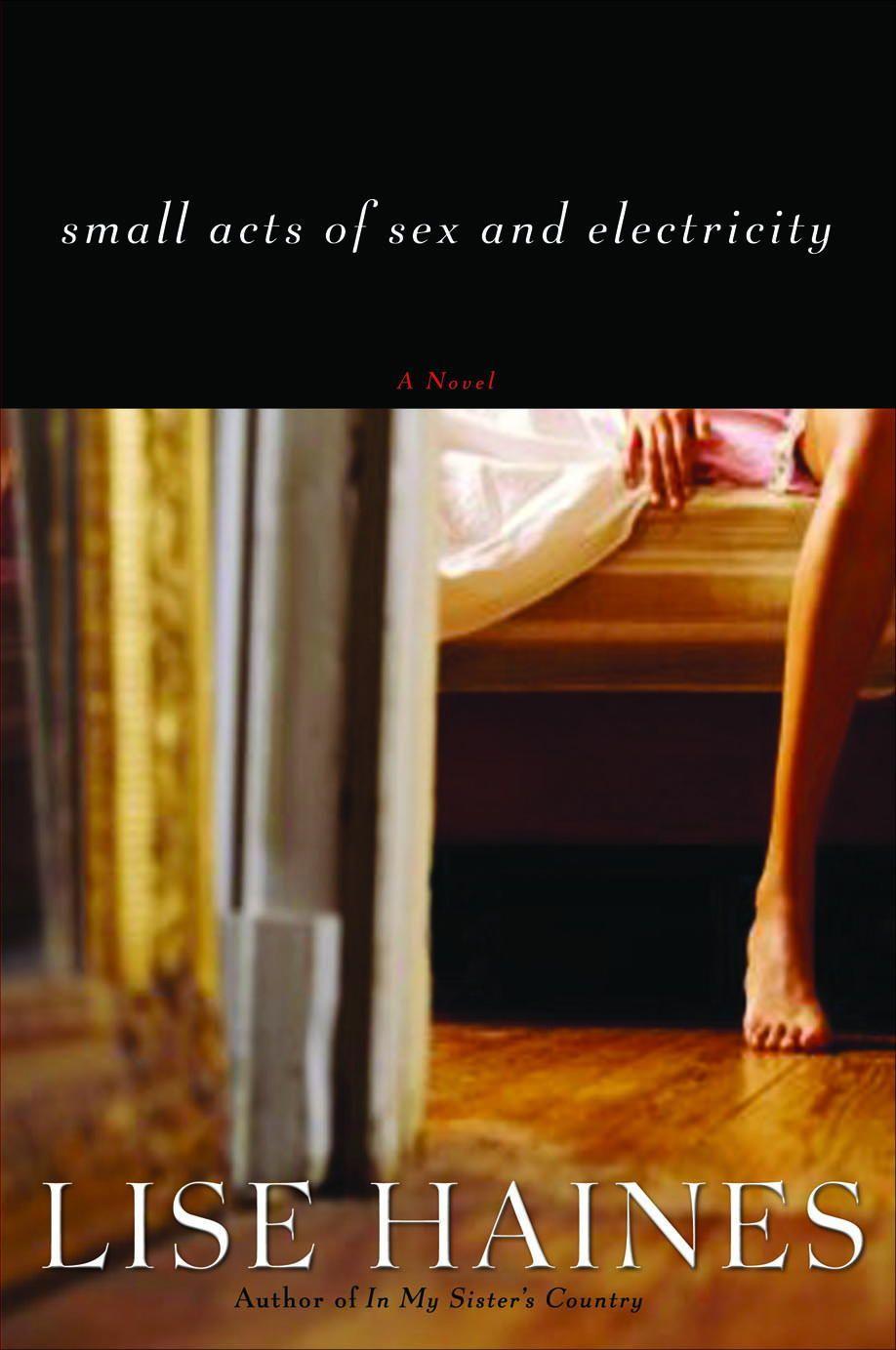 Vorderes Coverbild Small Acts of Sex and Electricity