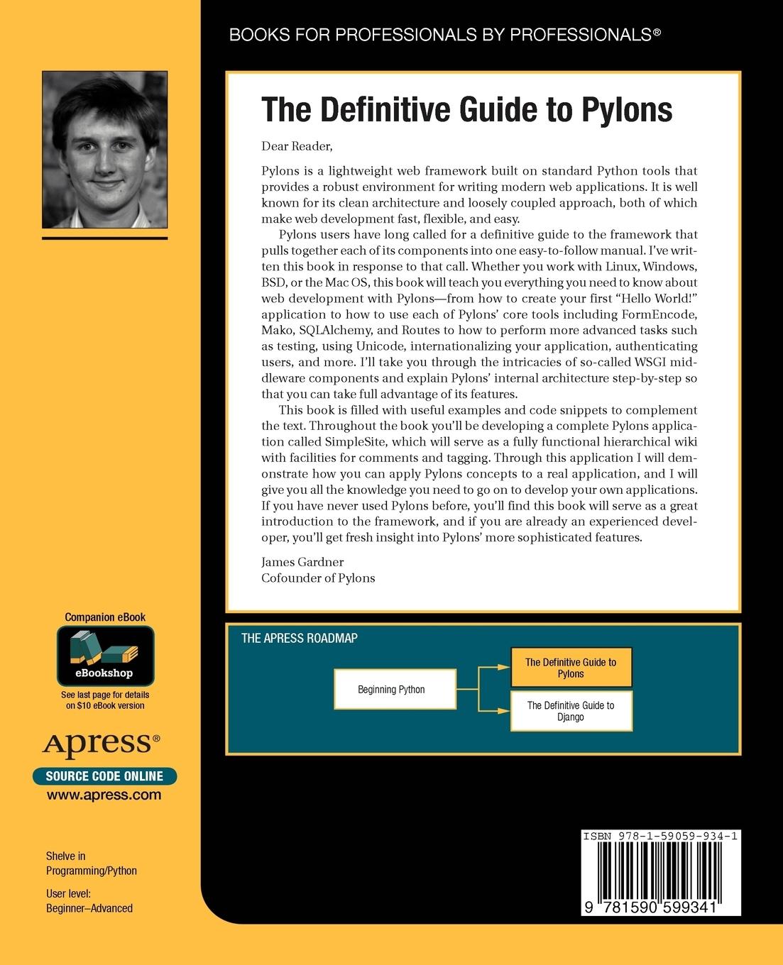 Rückseitencover The Definitive Guide to Pylons