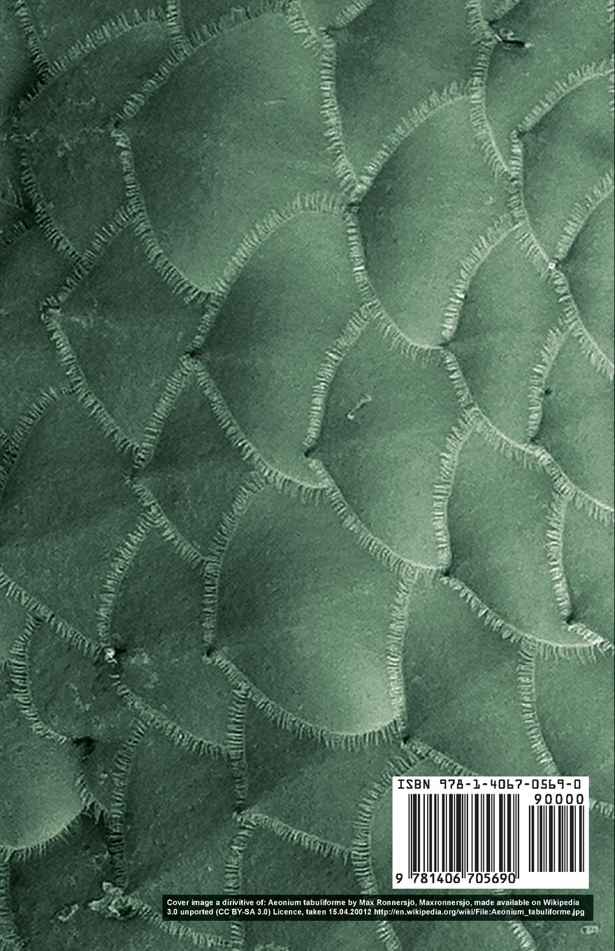 Rückseitencover First Principles