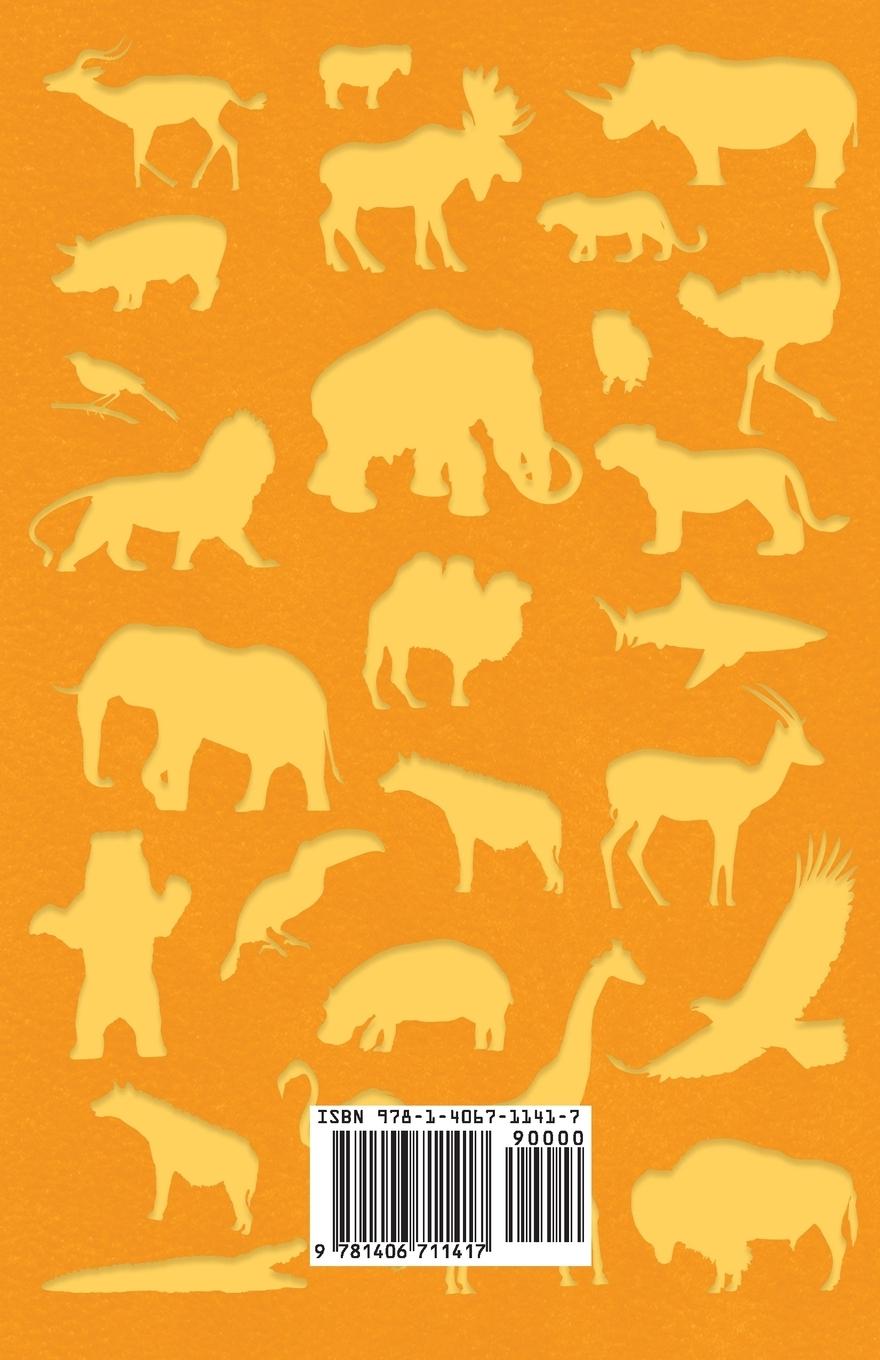 Rückseitencover In Africa - Hunting Adventures in Big Game Country (1910)