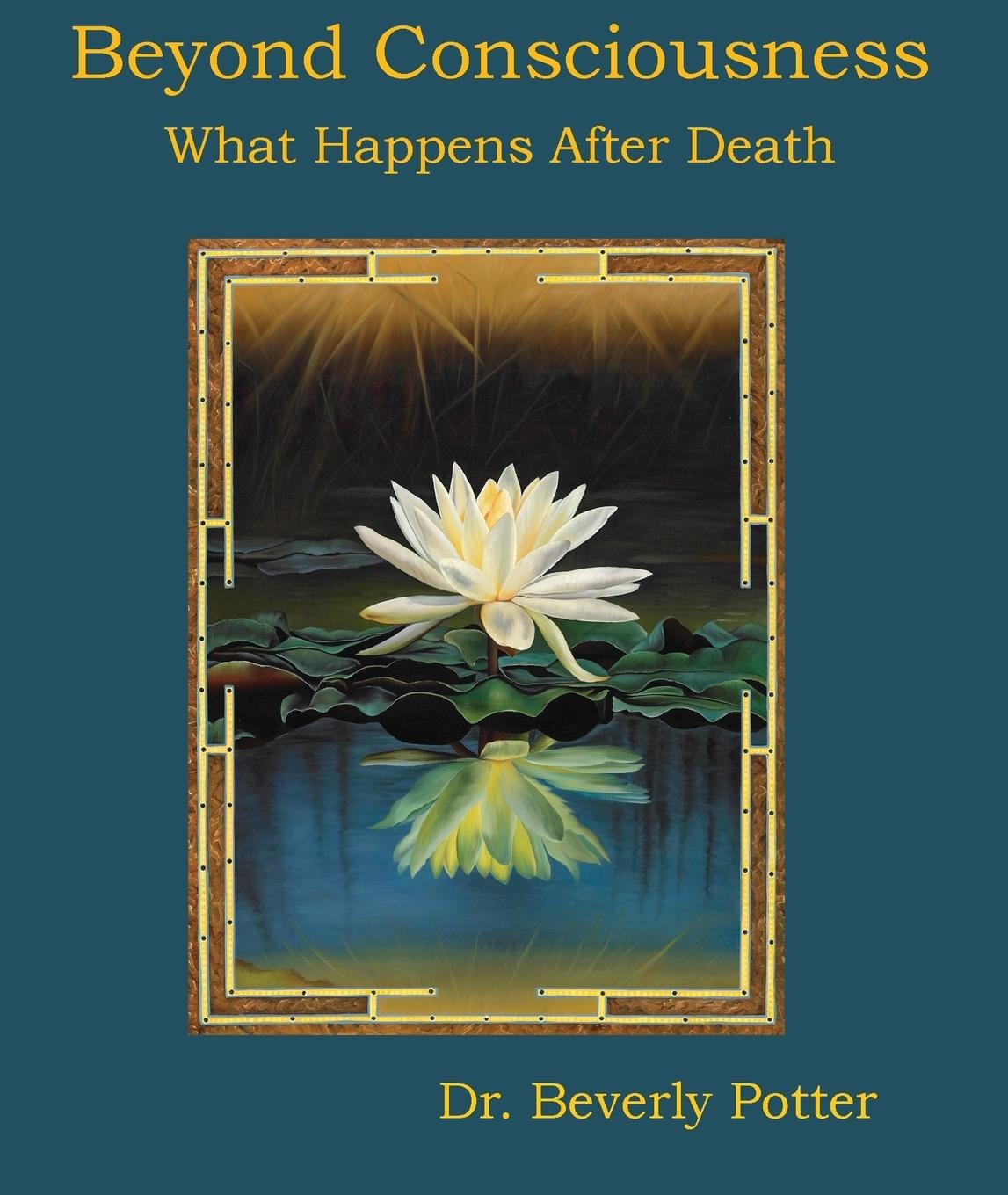 Vorderes Coverbild Beyond Consciousness: What Happens After Death