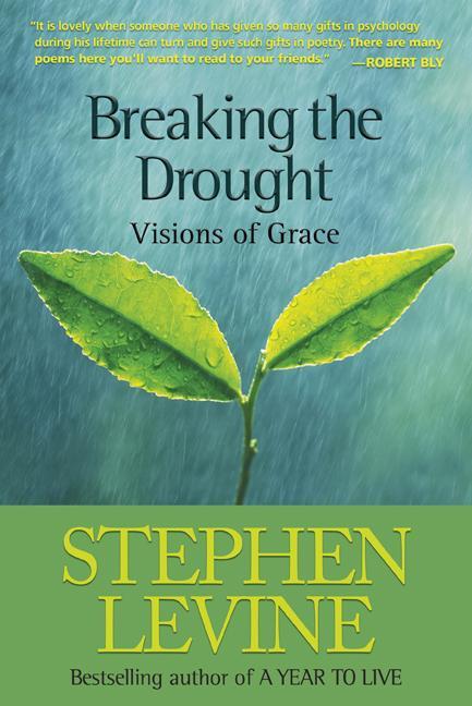 Vorderes Coverbild Breaking the Drought