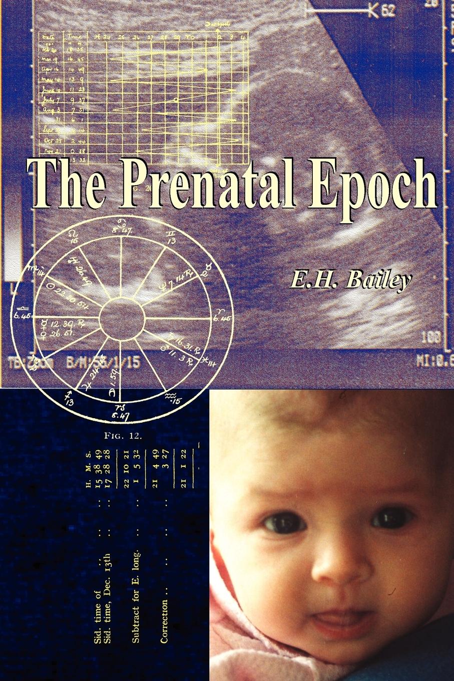Vorderes Coverbild The Prenatal Epoch