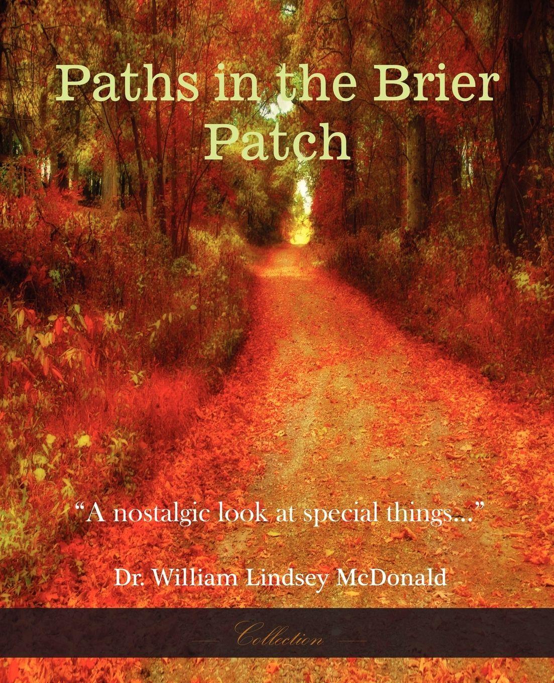 Vorderes Coverbild Paths in the Brier Patch