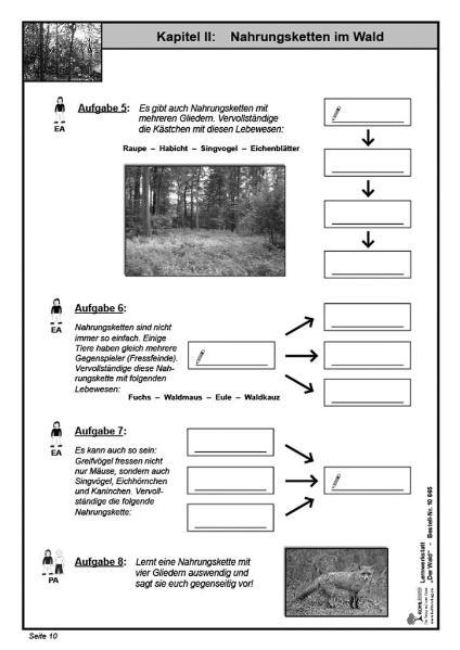Beispielinhalt (Bild) Lernwerkstatt - Der Wald