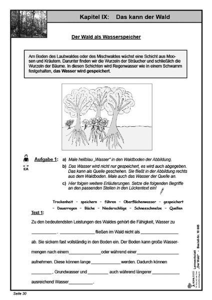 Beispielinhalt (Bild) Lernwerkstatt - Der Wald