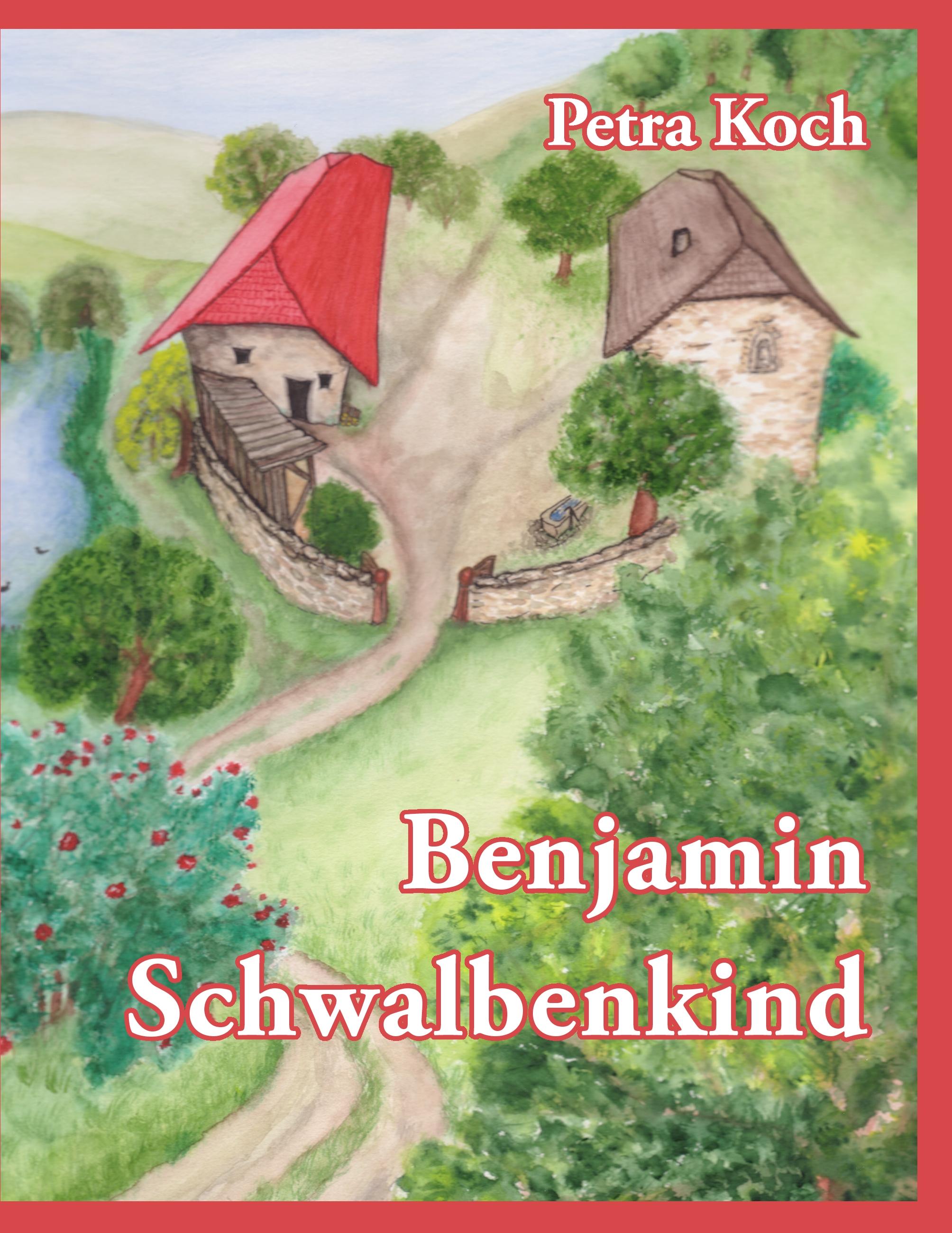 Vorderes Coverbild Benjamin Schwalbenkind