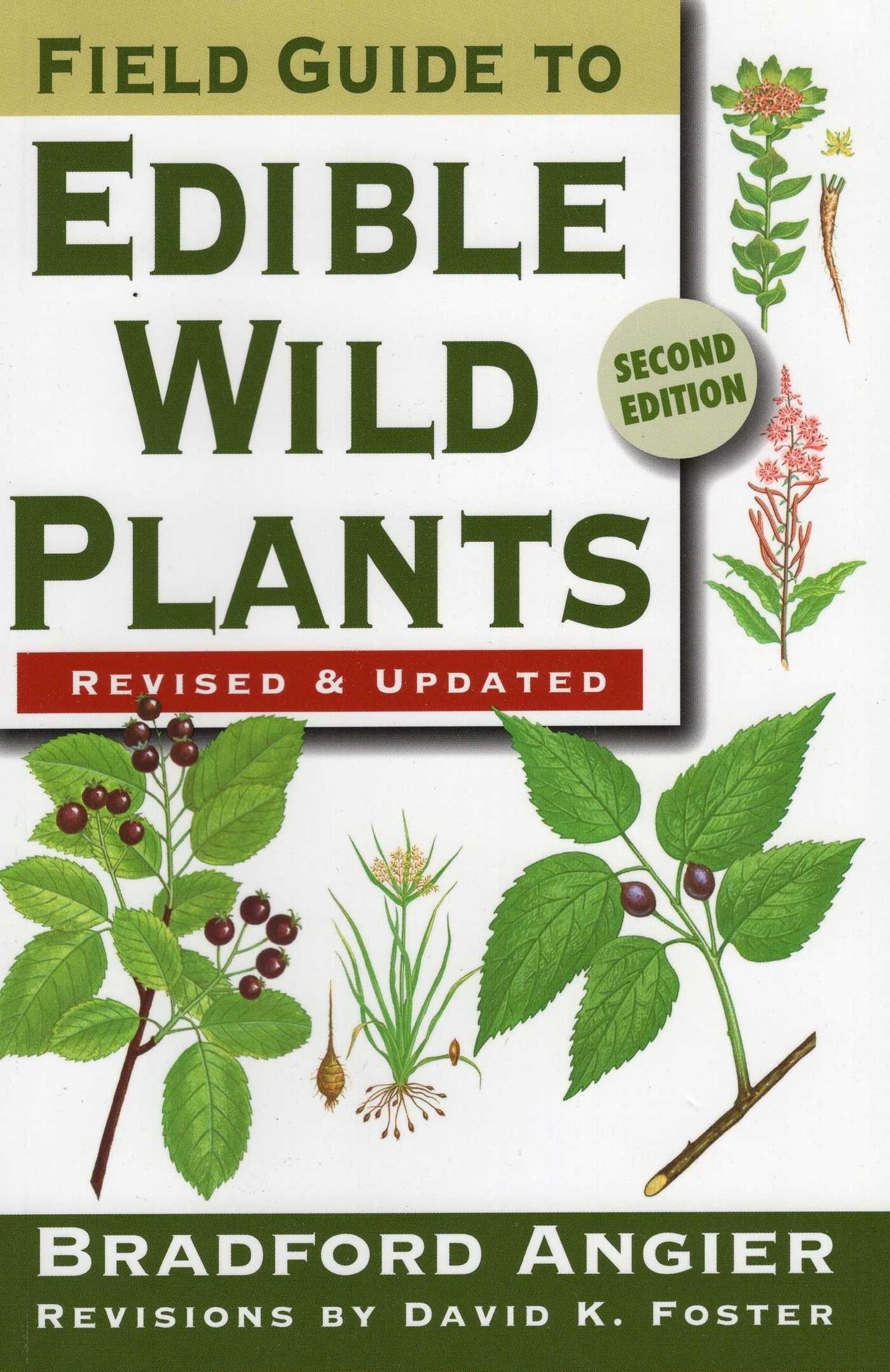 Vorderes Coverbild Field Guide to Edible Wild Plants