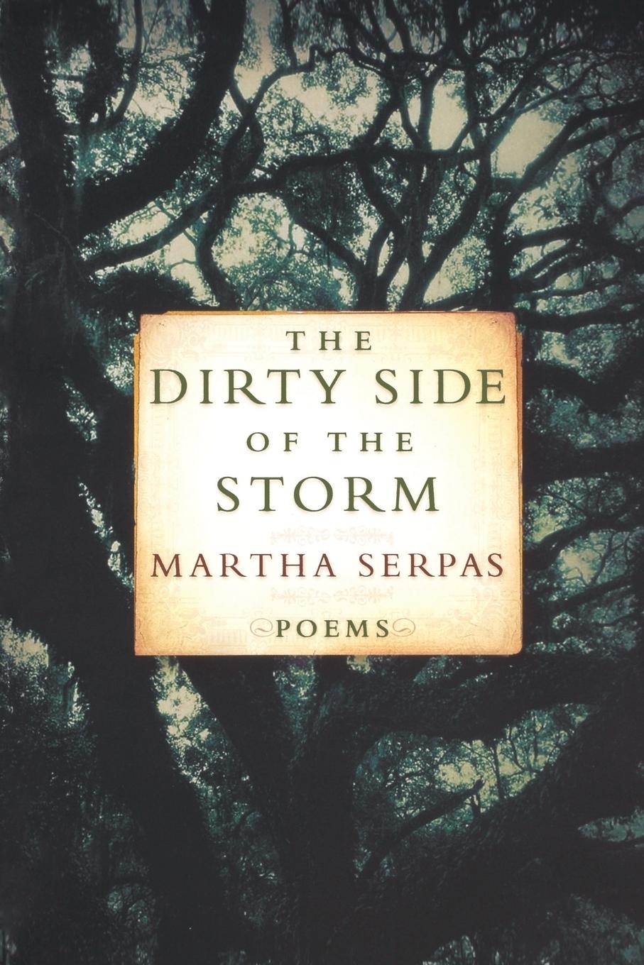 Vorderes Coverbild Dirty Side of the Storm