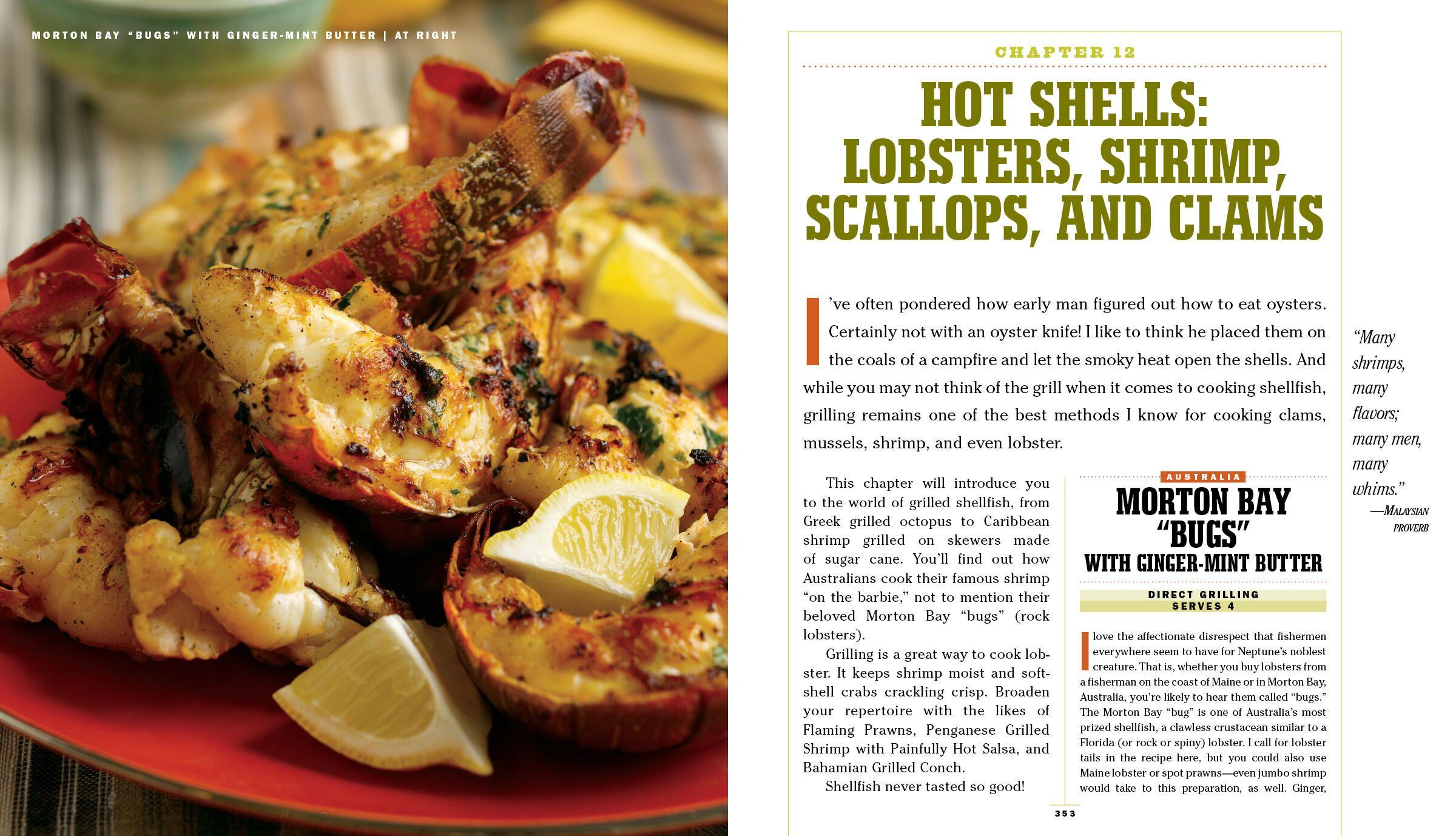 Beispielinhalt (Bild) The Barbecue Bible. 10th Anniversary Edition