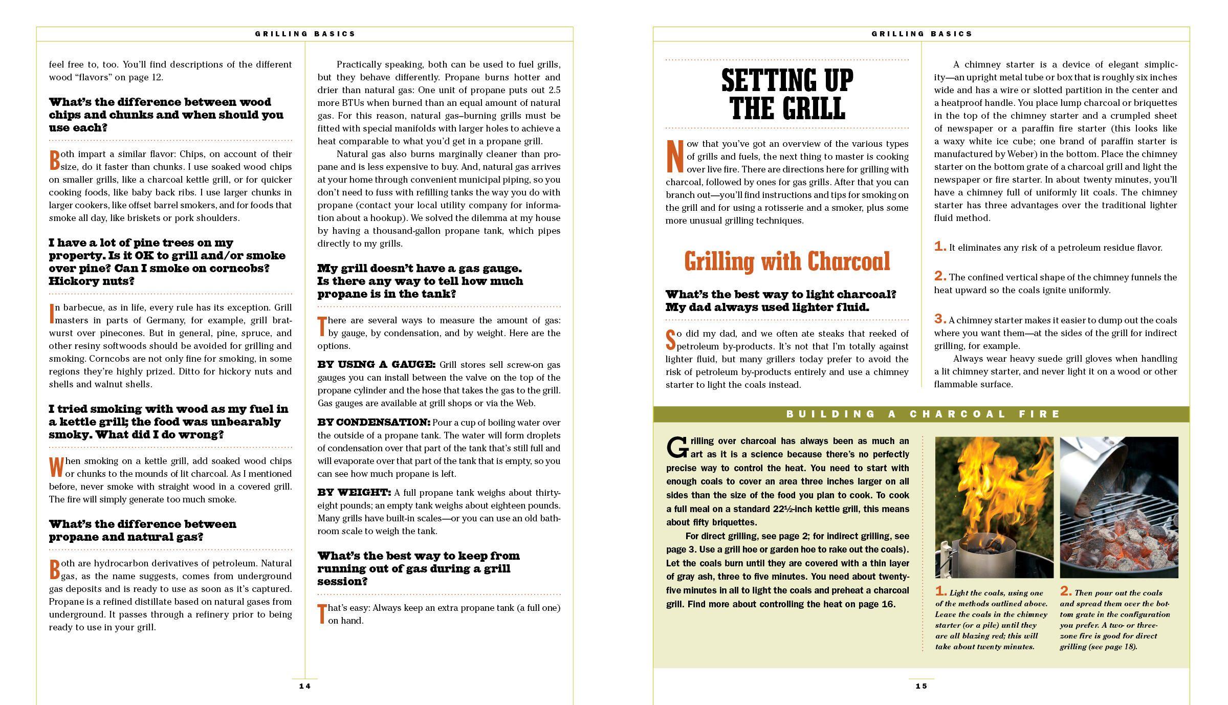 Beispielinhalt (Bild) The Barbecue Bible. 10th Anniversary Edition