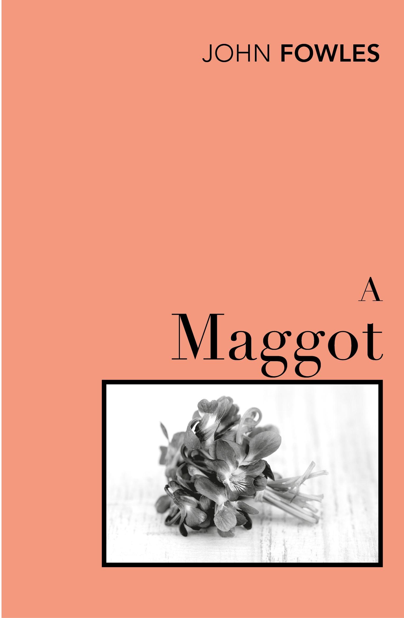 Vorderes Coverbild A Maggot