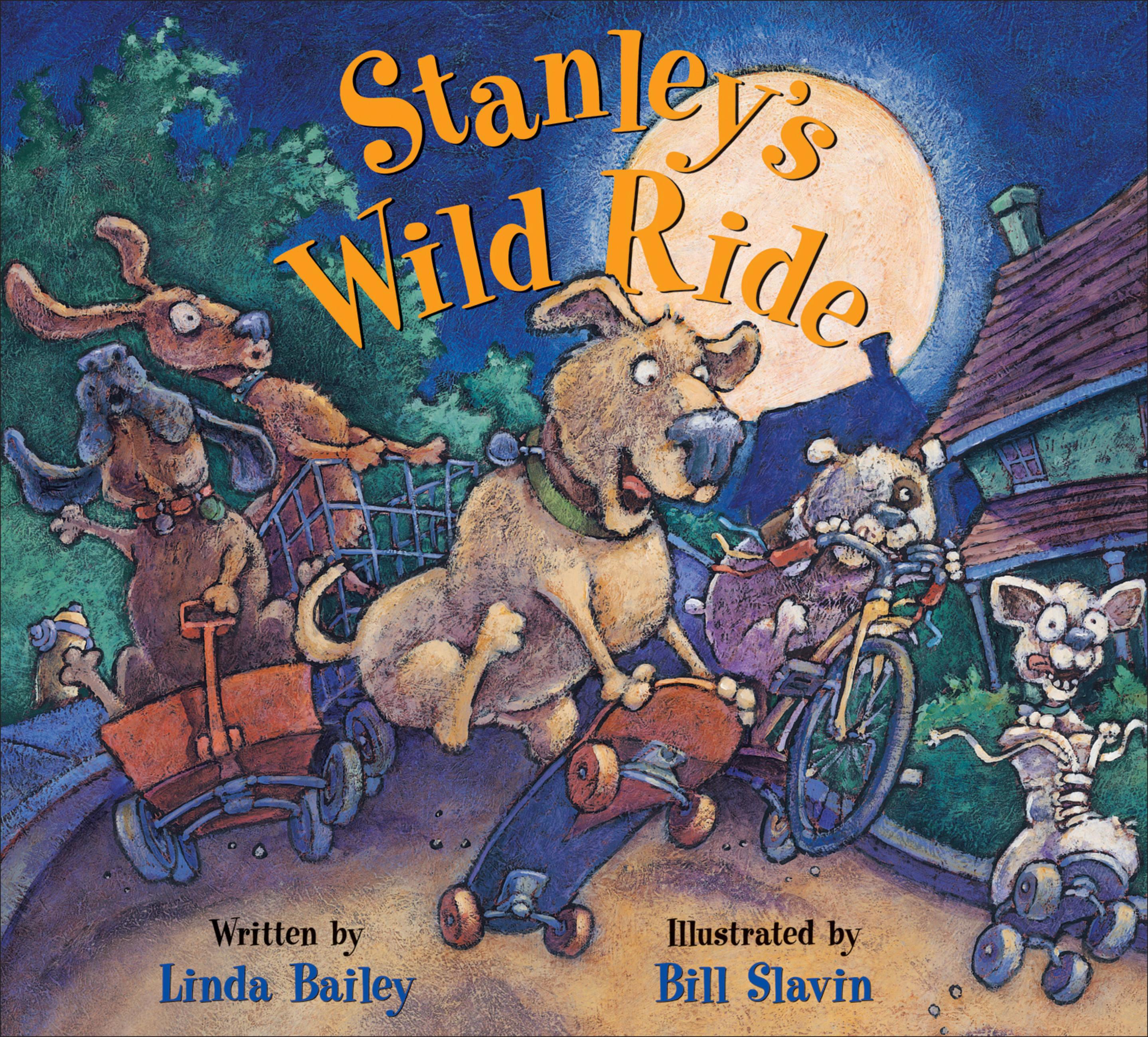 Vorderes Coverbild Stanley's Wild Ride