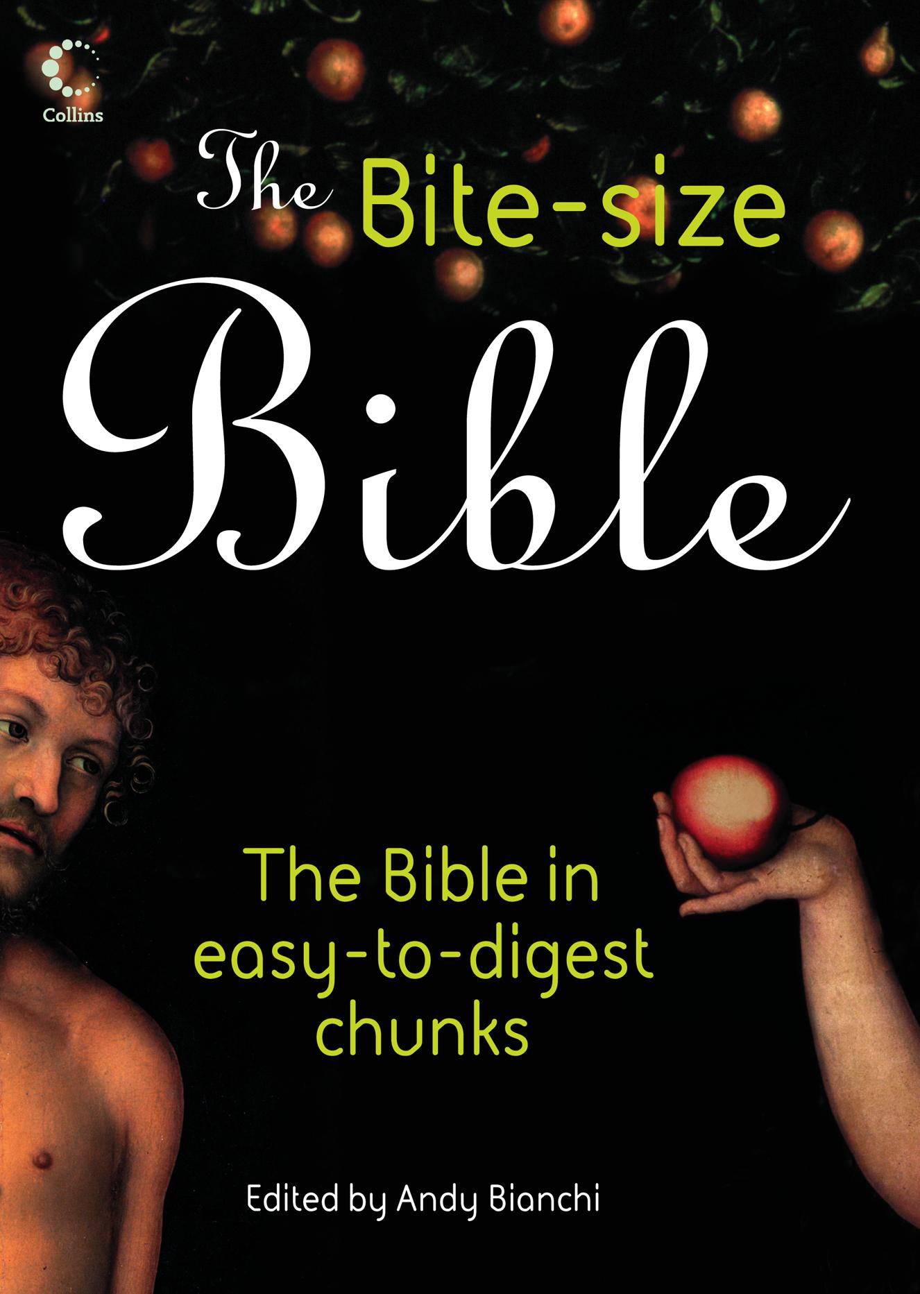 Vorderes Coverbild The Bite-size Bible