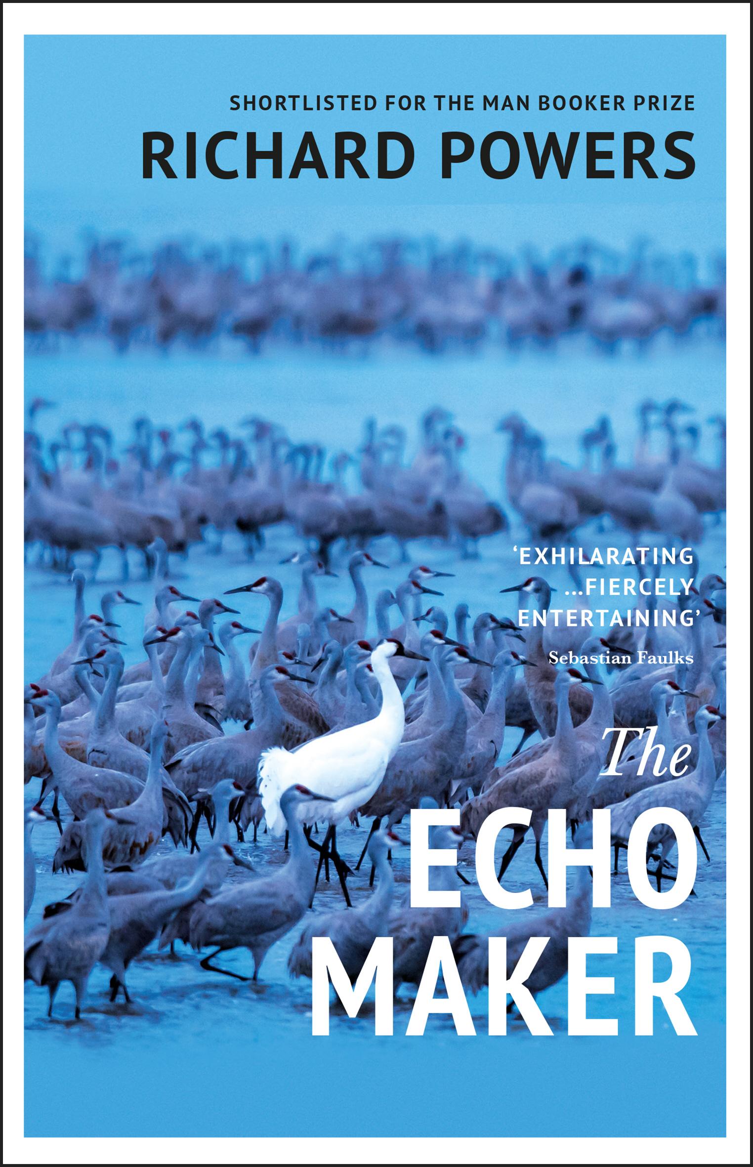 Vorderes Coverbild The Echo Maker