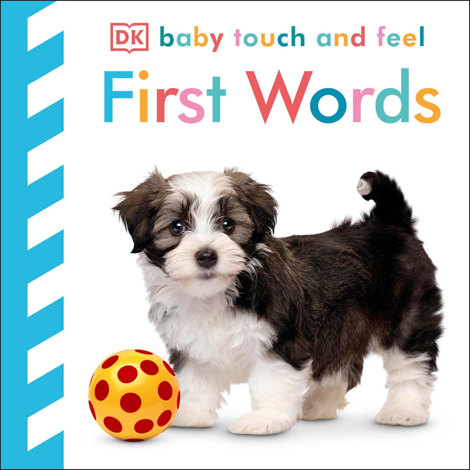 Vorderes Coverbild Baby Touch and Feel First Words