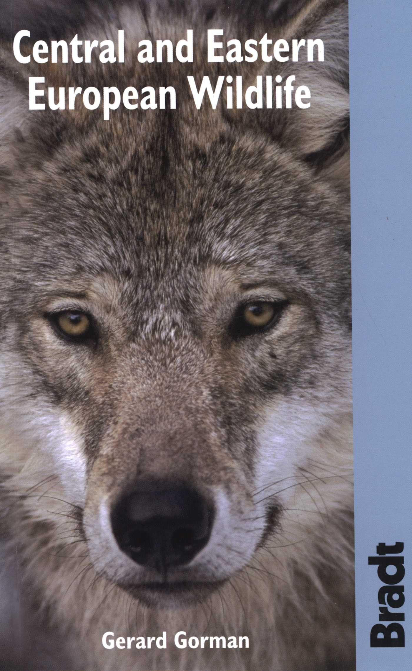 Vorderes Coverbild Bradt Central and Eastern European Wildlife