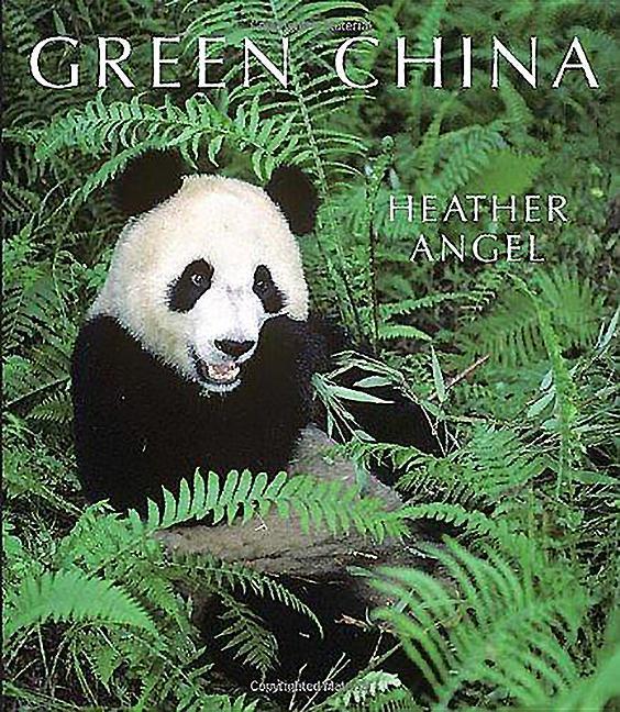 Vorderes Coverbild Green China