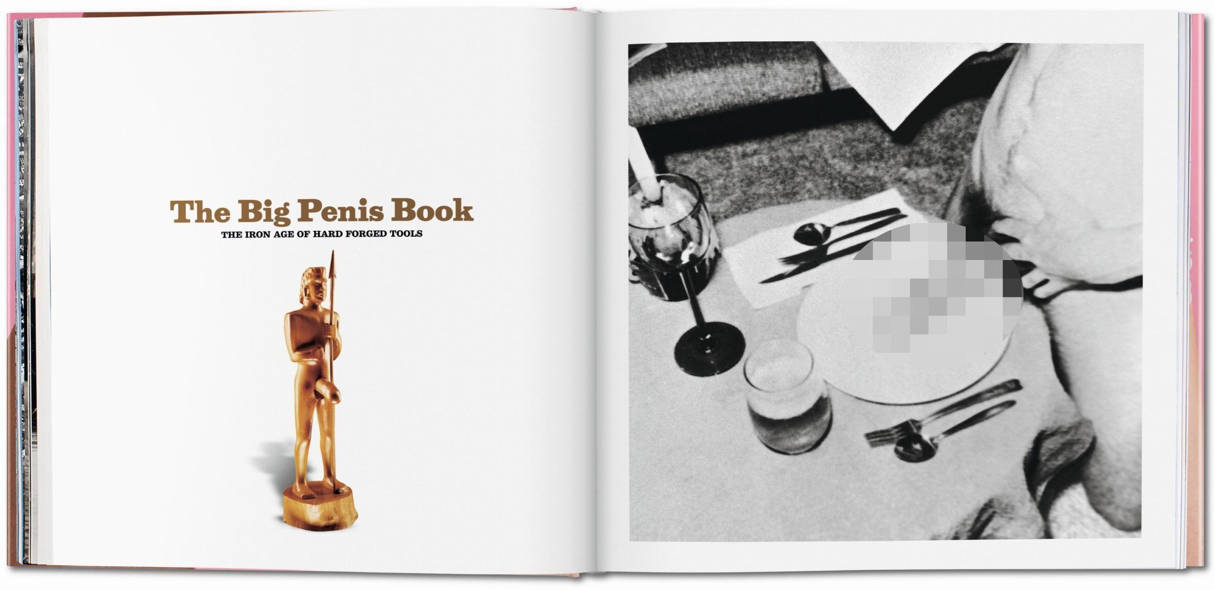 Beispielinhalt (Bild) The Big Penis Book