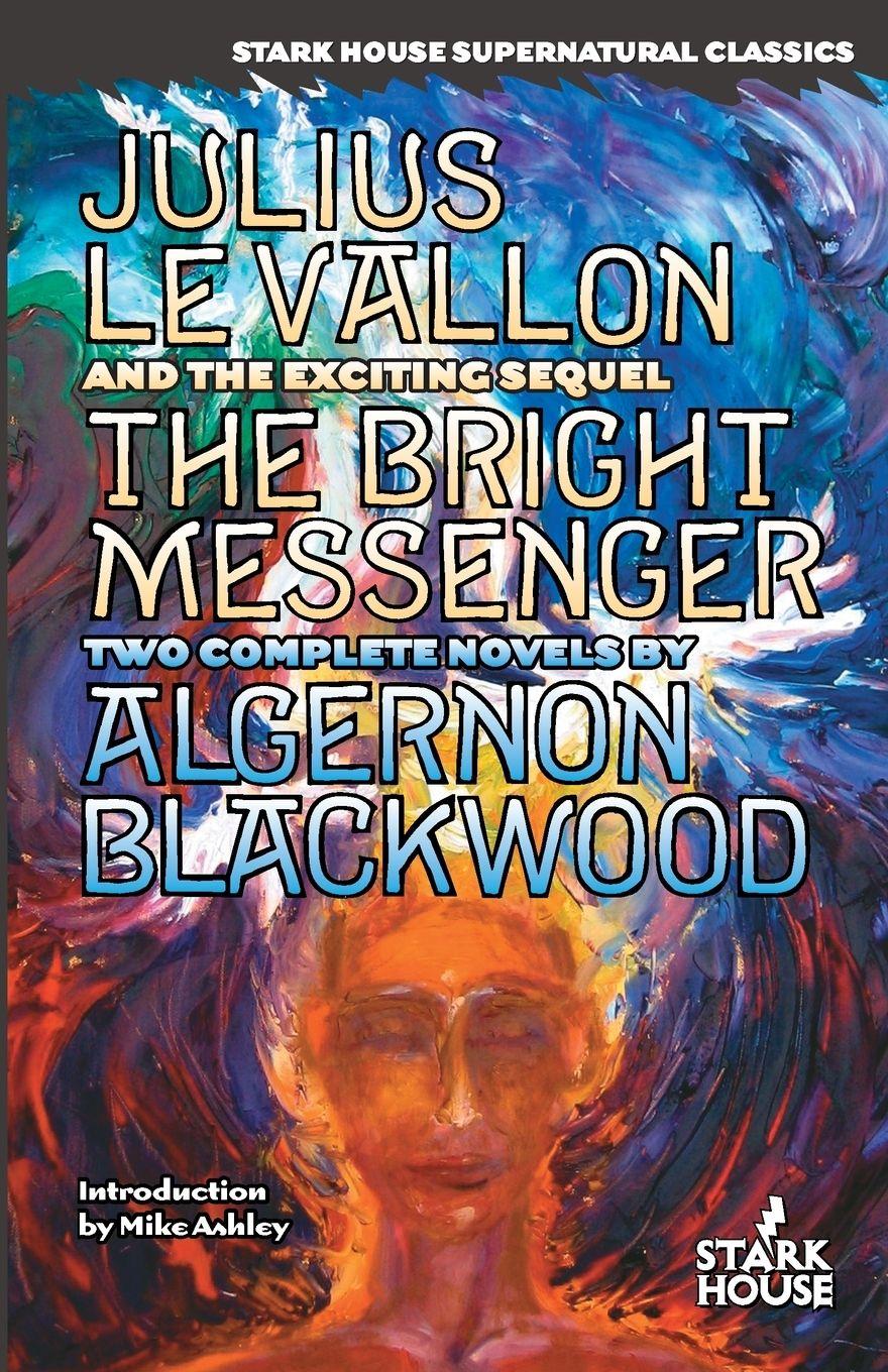 Vorderes Coverbild Julius LeVallon / The Bright Messenger