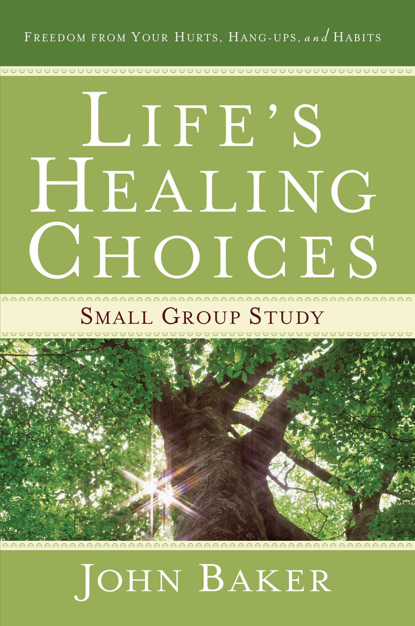 Vorderes Coverbild Life's Healing Choices Small Group Study
