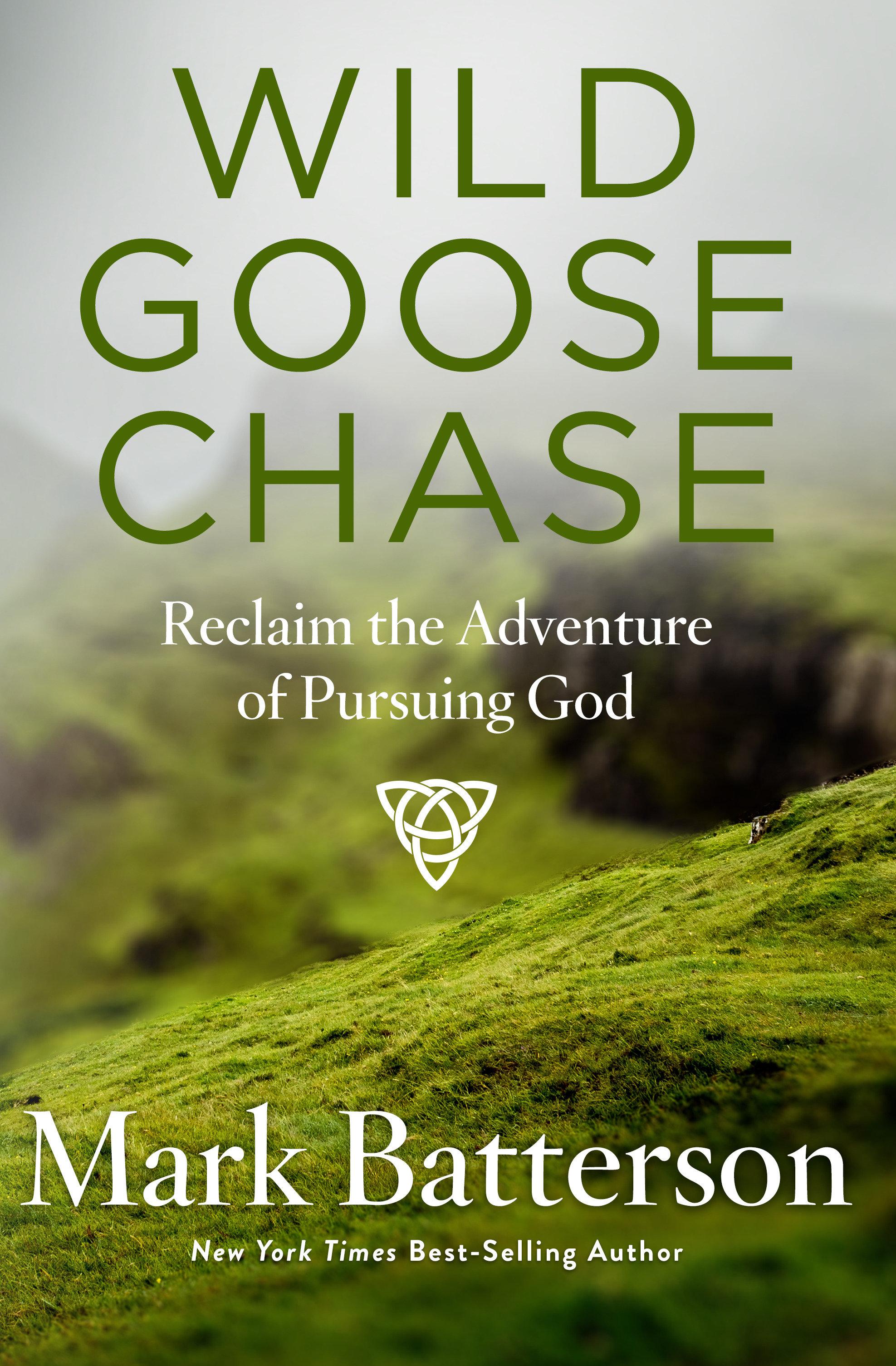 Vorderes Coverbild Wild Goose Chase