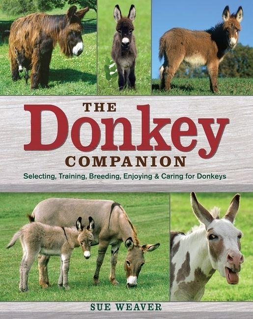 Vorderes Coverbild The Donkey Companion