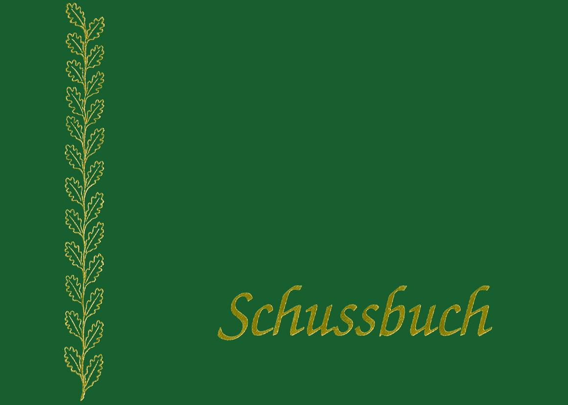 Vorderes Coverbild Schussbuch
