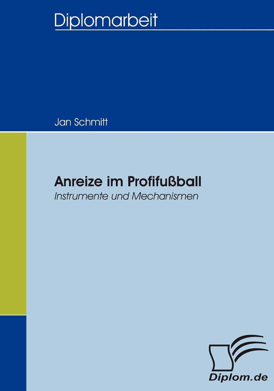 Vorderes Coverbild Anreize im Profifussball