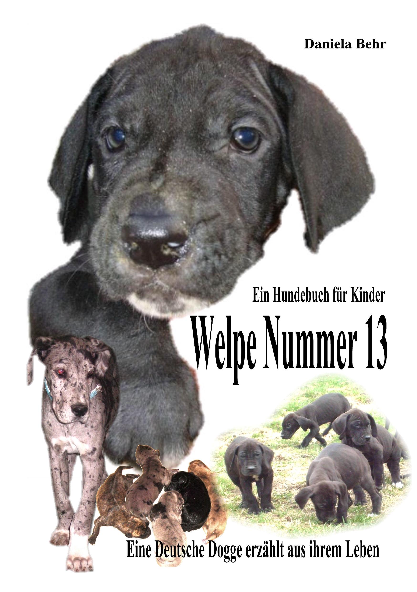 Vorderes Coverbild Welpe Nummer 13  Ein Hundekind erzählt aus seinem Leben Die Geschichte einer Deutschen Dogge