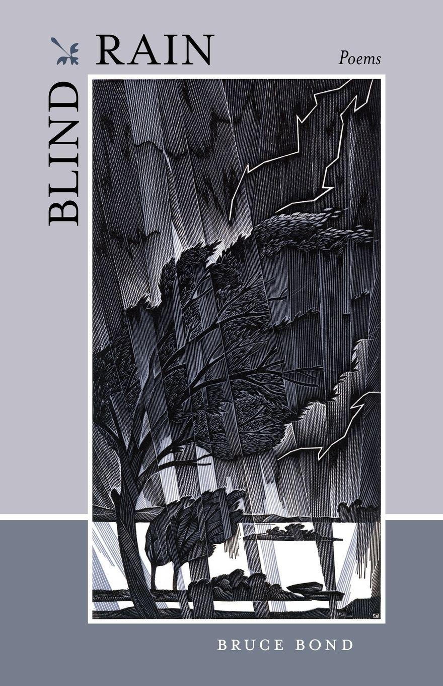 Vorderes Coverbild Blind Rain