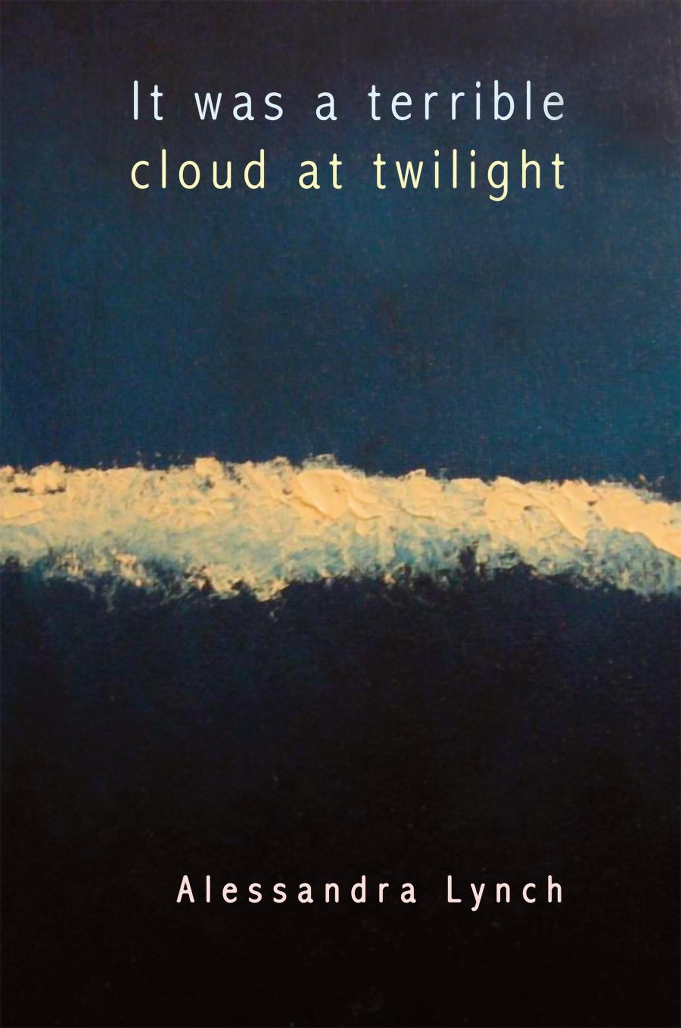 Vorderes Coverbild It Was a Terrible Cloud at Twilight