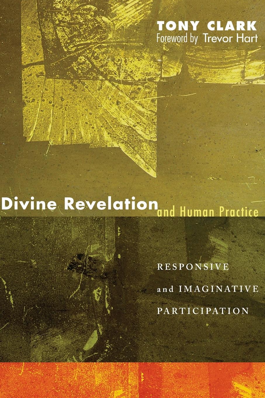 Vorderes Coverbild Divine Revelation and Human Practice