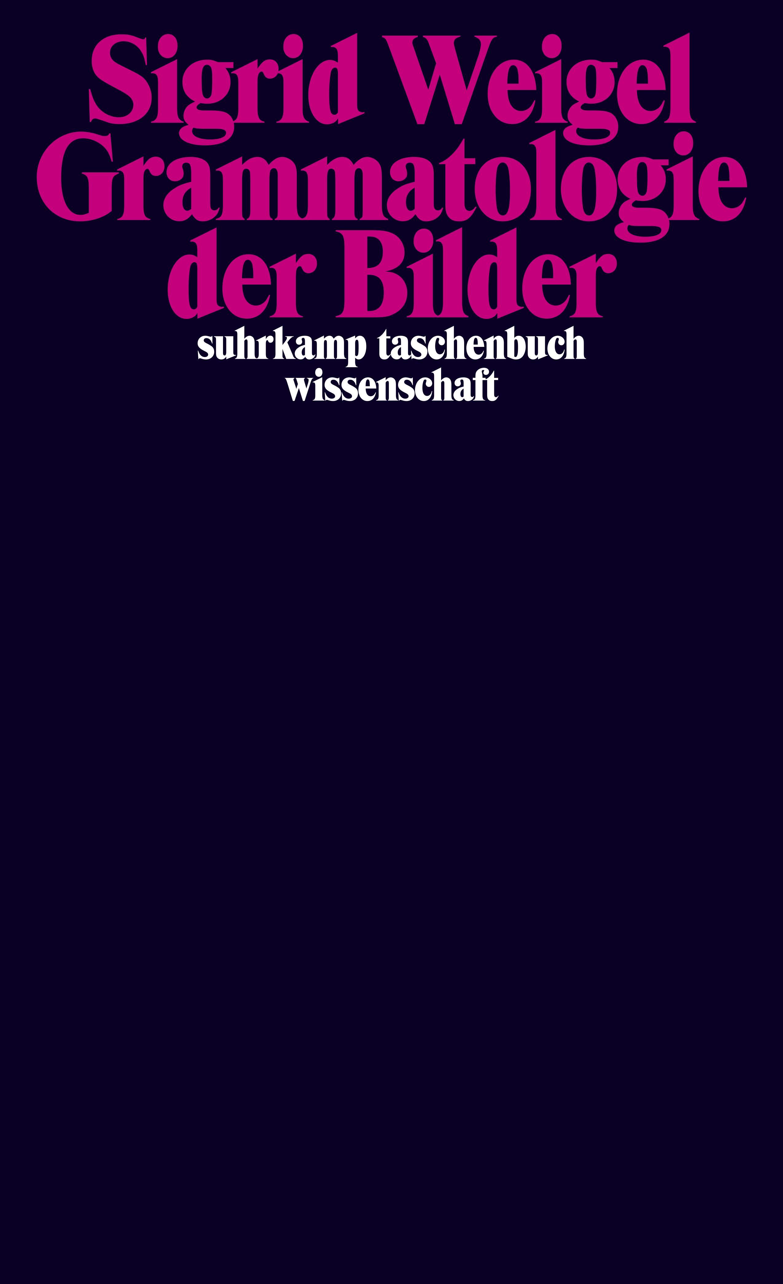 Vorderes Coverbild Grammatologie der Bilder