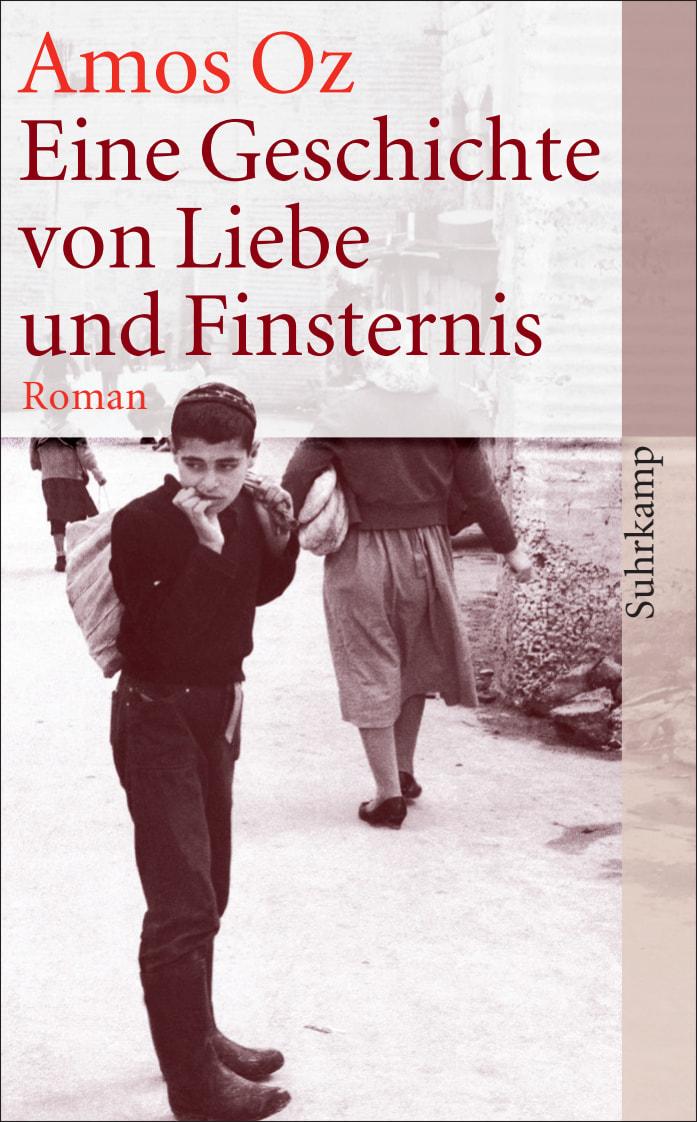 Vorderes Coverbild Eine Geschichte von Liebe und Finsternis