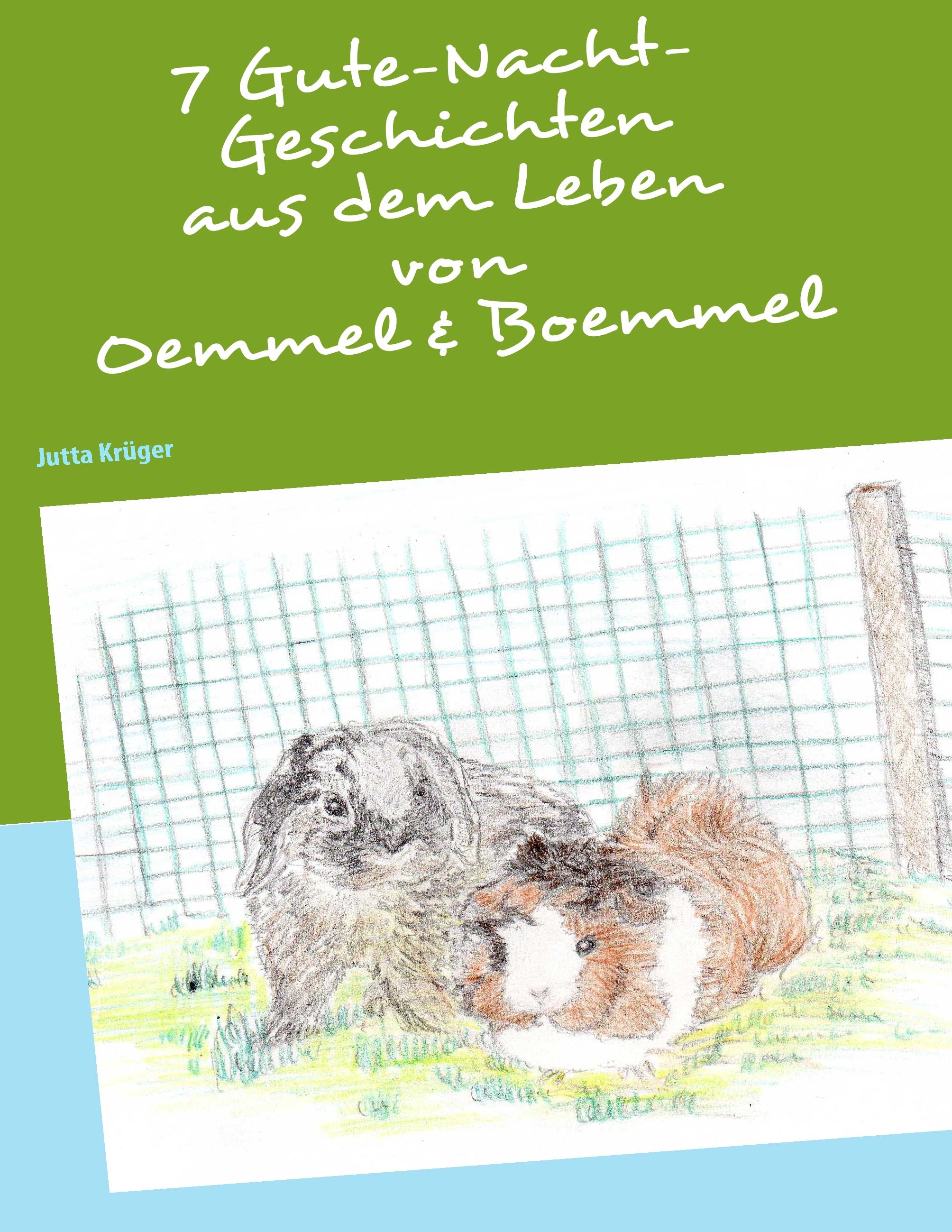 Vorderes Coverbild 7 Gutenacht-Geschichten aus dem Leben von Oemmel & Boemmel