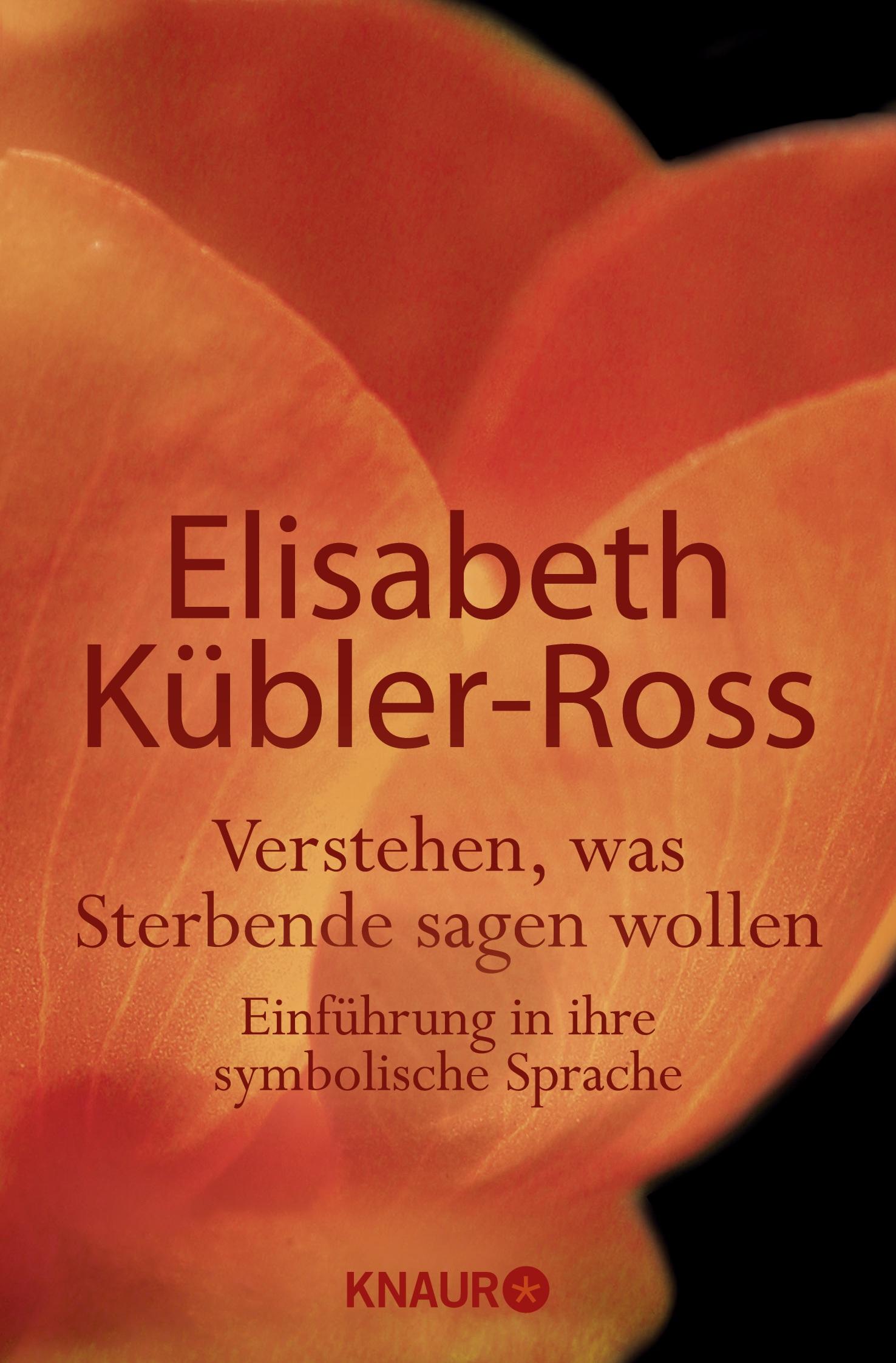 Vorderes Coverbild Verstehen, was Sterbende sagen wollen