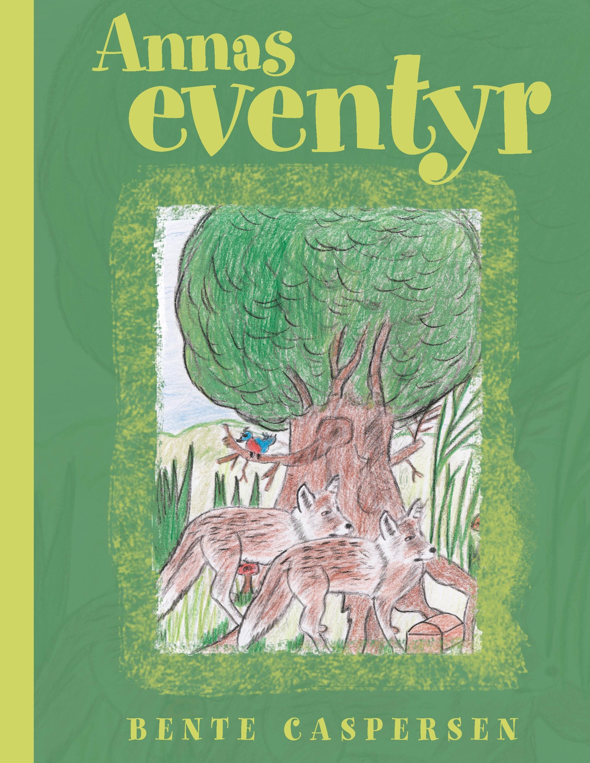 Vorderes Coverbild Annas eventyr