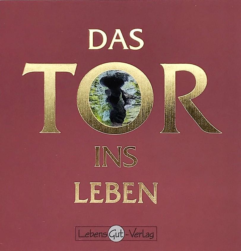 Vorderes Coverbild Das Tor ins Leben